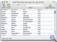 Result set snapshot